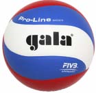 Volejbalová lopta GALA Pro Line - BV 5591 S